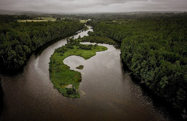 stedipek river